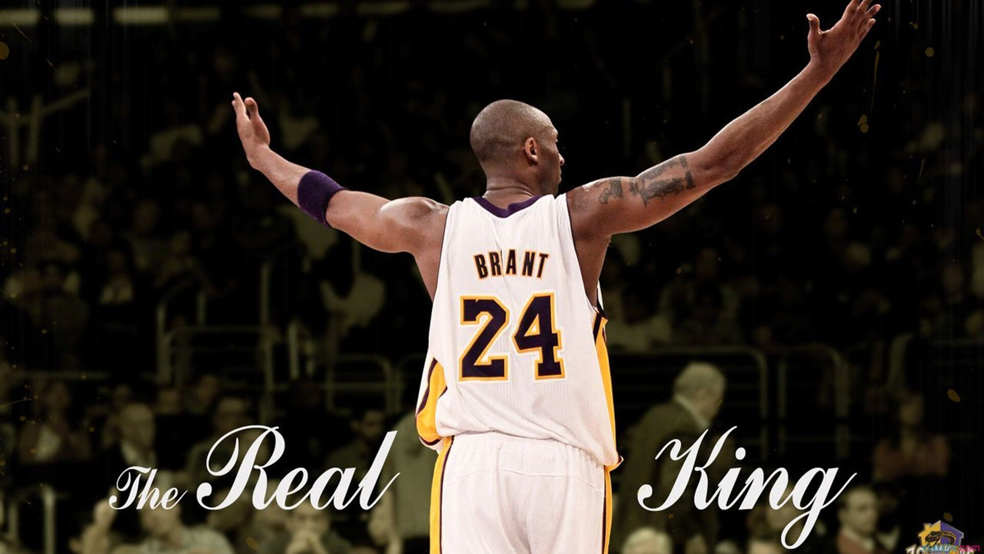 NBA球队赛事组织安全管理体系研究，nba球队管理系统